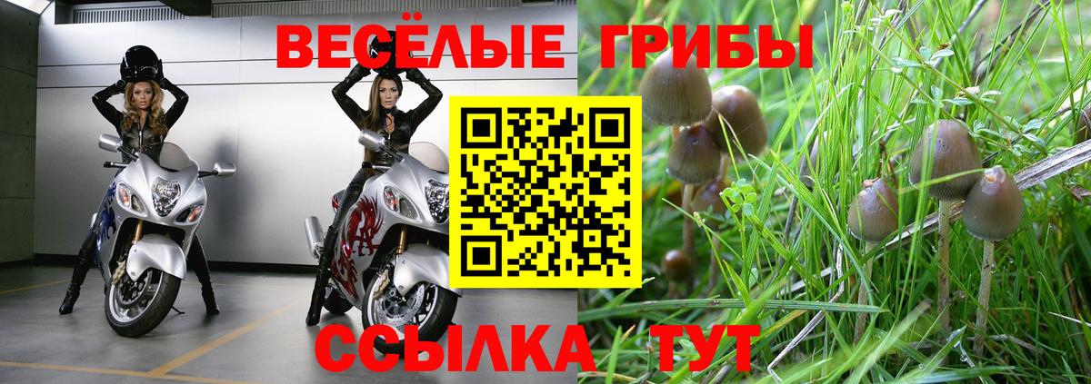 Менделеевск  где можно купить   Вход с VPN  Галлюциногенные грибы прущие грибы  Псилоцибиновые грибы Cubensis 